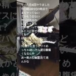 背景の人探してます#弾いてみた #ゲーム #ゲーム実況 #ピアノ #piano #shorts #short #arenabreakout #アリーナブレイクアウト #荒野行動 #apex