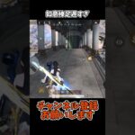 如意棒足遅すぎ ペニンシュラ【荒野行動】