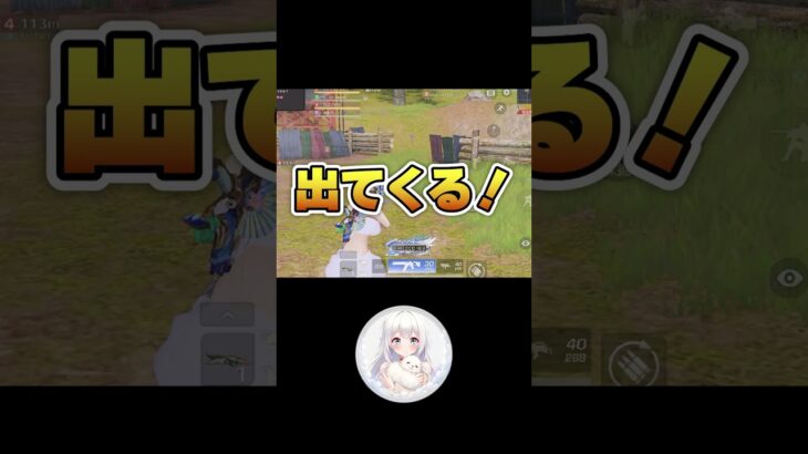 【ゆるふわ配信切り抜き】 #荒野女子 #切り抜き #荒野行動