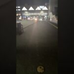 ライブ ハイライト