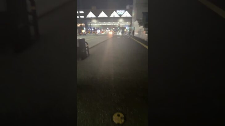 ライブ ハイライト