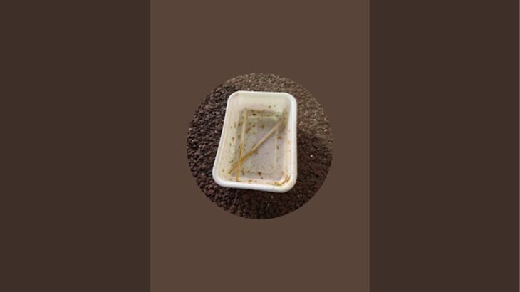 金なし宿無し底辺教の童磨だよ！明日のシャワー代もないけど、頑張ろう、#鬼滅の刃 #童磨#荒野行動#奢られる前提