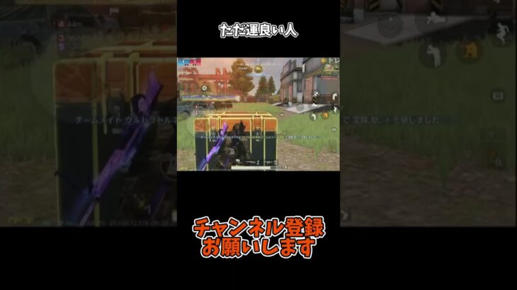 ただ運良い人【荒野行動】