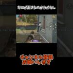 なにが起きたのかわからん【荒野行動】