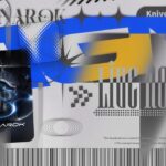 荒野行動　本気クイン