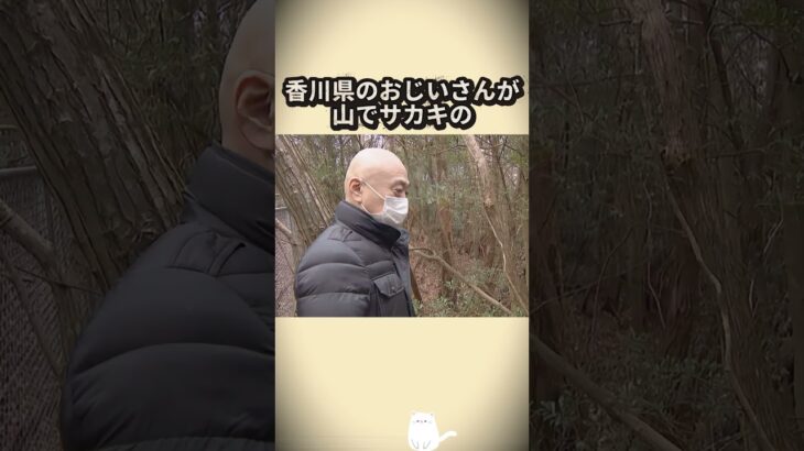 神田強盗致傷の犯人の一人が 荒野行動元プロゲーマー ミニ毛氏との疑惑が浮上#荒野行動#ミニ毛#配信者#プロゲーマー#ユーチューバー