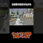 正直撃ち始めでわかる【荒野行動】