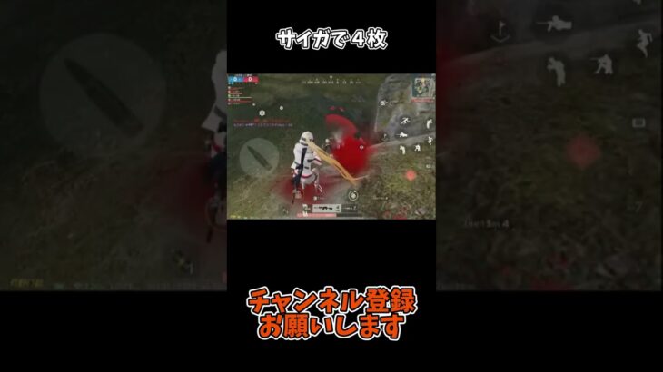 サイガで４枚【荒野行動】