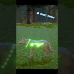 #wildcraft #games #ゲーム実況 #荒野行動 #androidgames #ずんだもん #カボチャ #今日のお守りモンスターカード #ムッシー #mhダブルクロス