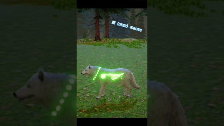 #wildcraft #games #ゲーム実況 #荒野行動 #androidgames #ずんだもん #カボチャ #今日のお守りモンスターカード #ムッシー #mhダブルクロス