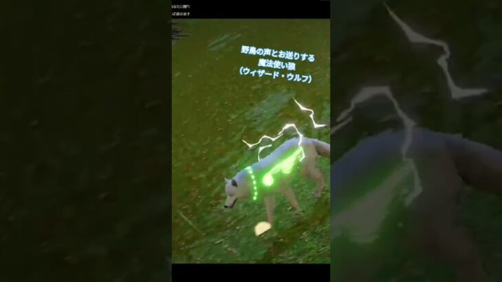 作業ハンティング探索ゲー #wildcraft #games #ゲーム実況 #荒野行動 #androidgames #ずんだもん #カボチャ #今日のお守りモンスターカード #ムッシー #mhクロス