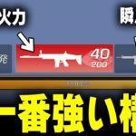 【超火力】今一番強いと思うオススメ武器構成で無双してみたwww【#荒野行動】