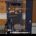 荒野行動PC版 ゆるゆるライブ配信