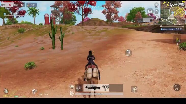 【ワイルドオアシスのラクダ】荒野行動PC版 ゆるゆるライブ配信