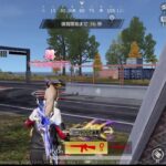 【PC荒野行動】通常ぶん回すぜ！