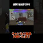 弾数こそ正義である【荒野行動】